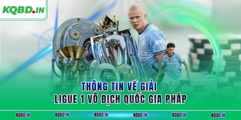 Ligue 1 37 Thông tin về giải Ligue 1 vô địch quốc gia Pháp