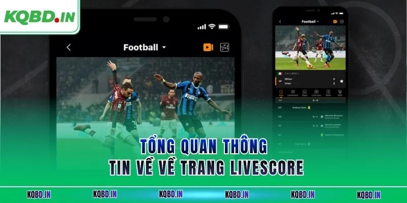 Livescore 61 Tổng quan thông tin về về trang Livescore
